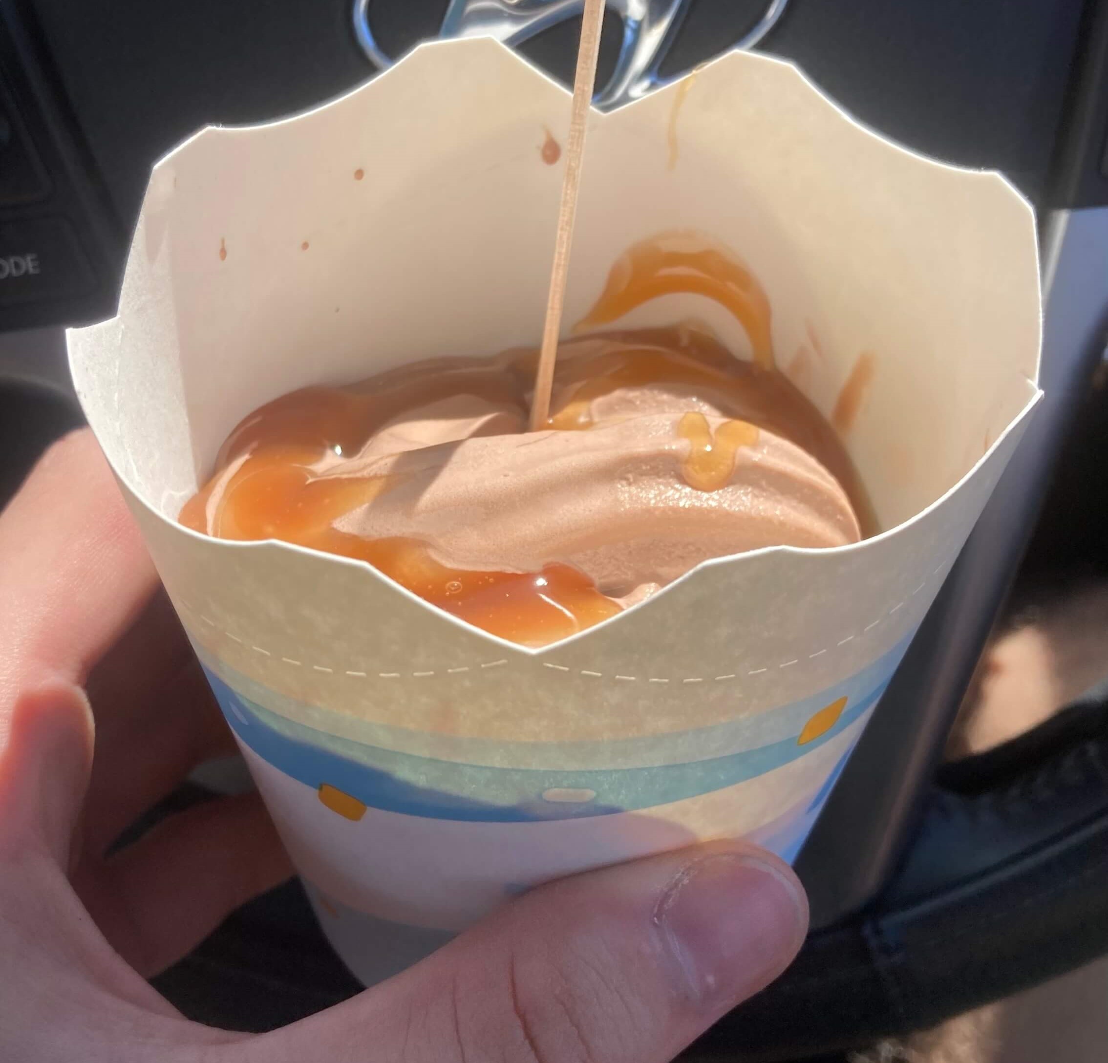 Chocolate Caramel McFlurry
